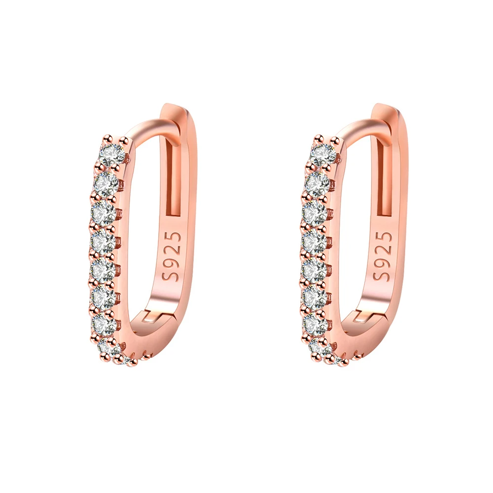 Elysian Sparkle Hoops Earrings