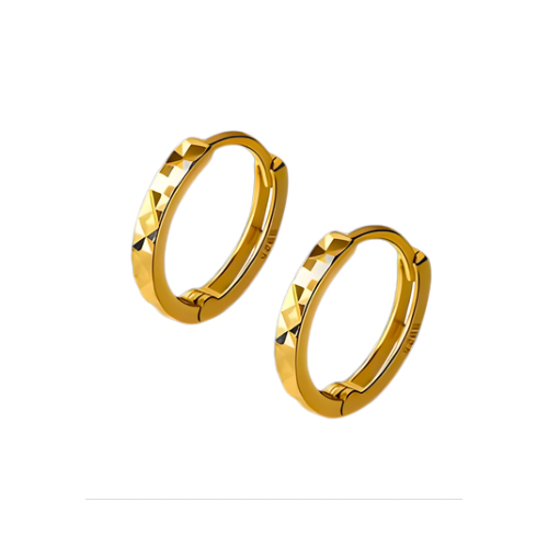 Eternal Glow Hoop Earrings - Elysian Embrace